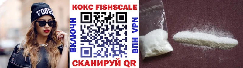 продажа наркотиков  Чистополь  COCAIN Fish Scale 