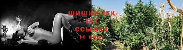 соль ск Белокуриха