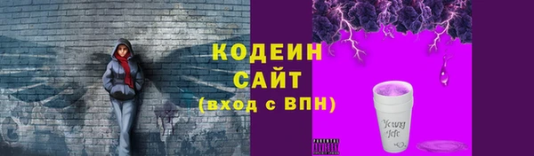 соль ск Белокуриха