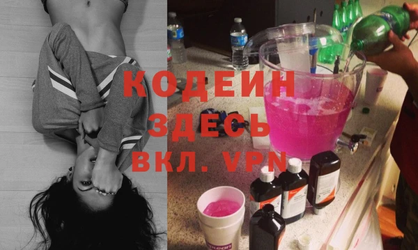 хмурый Аркадак