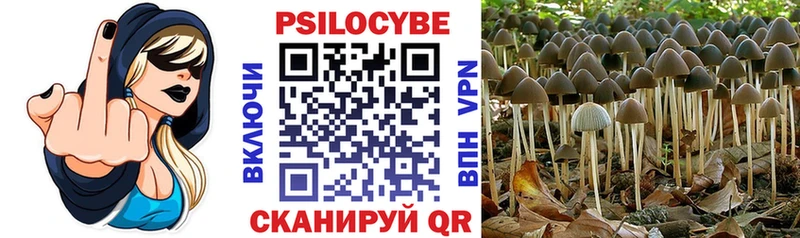 Псилоцибиновые грибы Magic Shrooms  Чистополь 